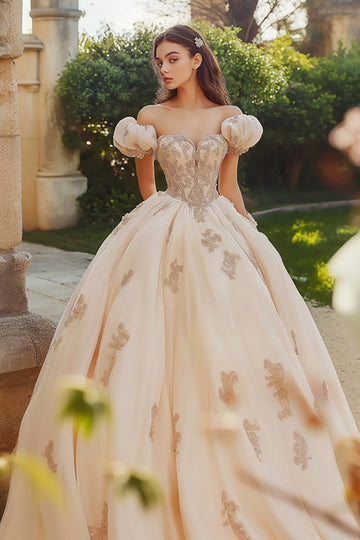 Robe de bal princesse blush épaules dénudées Tulle Quinceanera Robe avec appliques